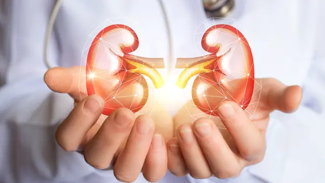 Inilah 4 Hal yang Akan Terjadi Jika Kamu Tak Sengaja Menelan Biji Pepaya