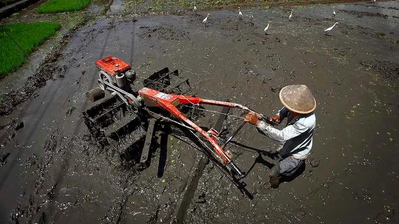 Percepat Masa Tanam, Penyuluh Dorong Petani Manggarai Barat Manfaatkan Alsintan