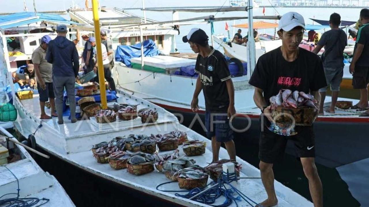 Penyaluran KUR di Sulsel Capai Rp7,78 Triliun per Mei 2026, Dorong Ekonomi Daerah