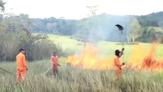 Usai Banjir, Warga Konawe Selatan Ronda Malam Berburu Buaya