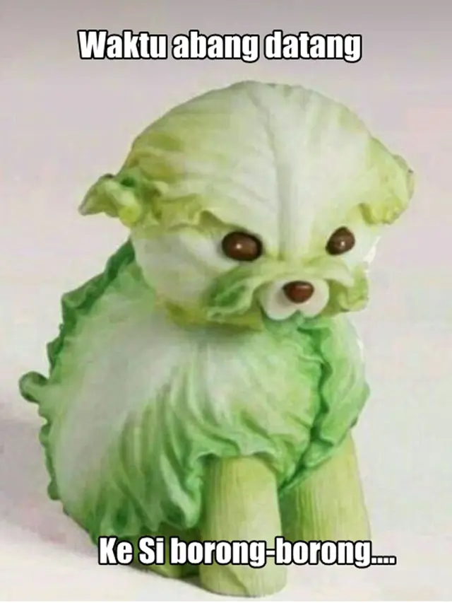 Deretan Meme Kocak Lagu Sayur Kol, Siap-Siap Ketawa Geli