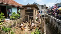 7 Ternak Hewan Mini untuk Rumah Dekat Pasar, Pakan Gratis dari Sisa Sayur