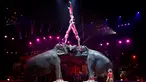 Keluarga Joy Gartner dan gajah-gajah mereka tampil dalam upacara pembukaan Festival Sirkus Internasional Monte-Carlo ke-43 di Monako, Kamis (17/1). Festival ini akan berlangsung hingga 27 Januari 2019. (Sebastien Nogier/Pool/AFP)