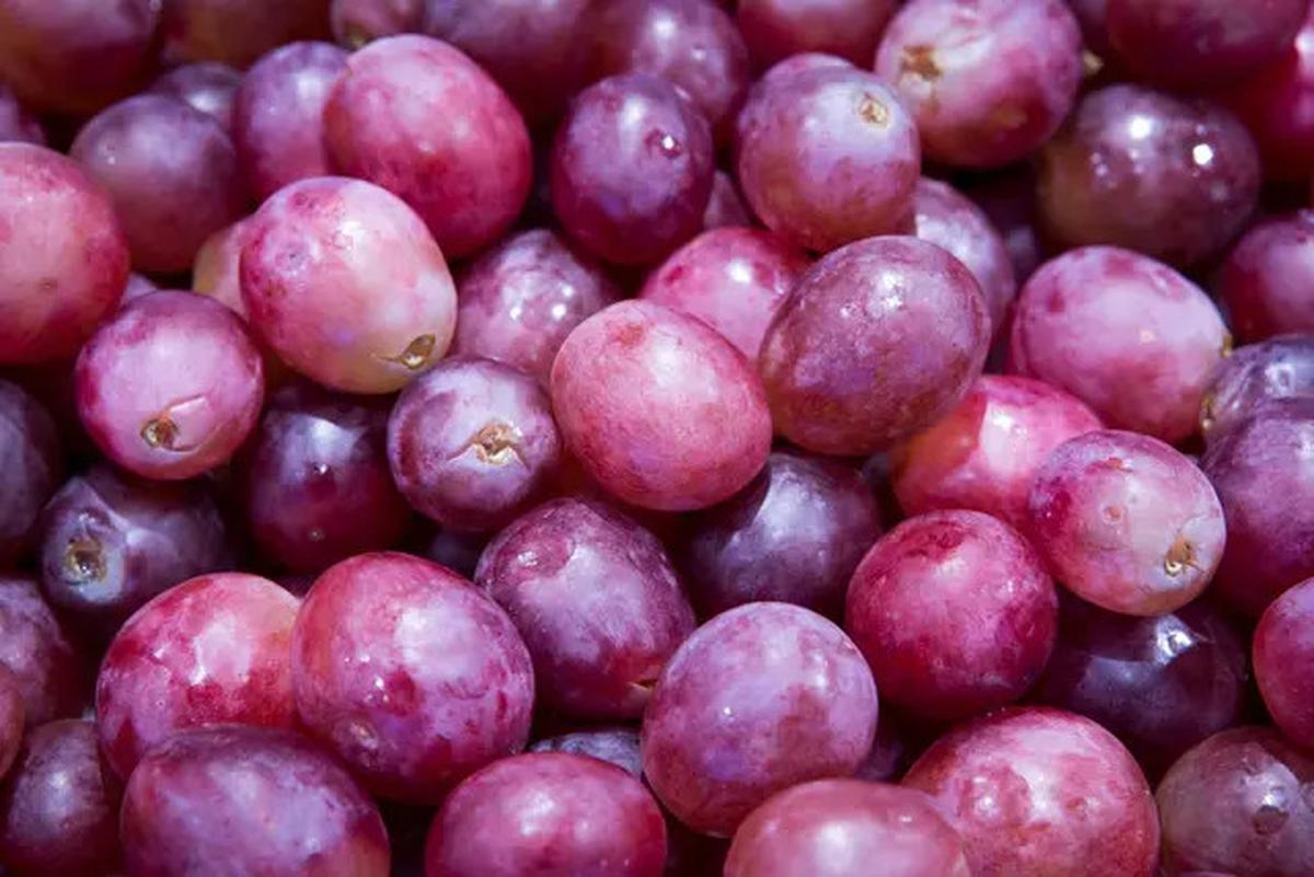 Cara Menghilangkan Lapisan Lilin pada Buah Anggur agar Aman Dikonsumsi