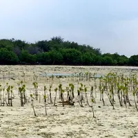Memandang Jakarta dalam perspektif berbeda melalui Pulau Pari.