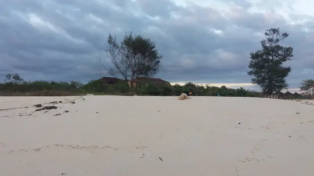 Pariwisata