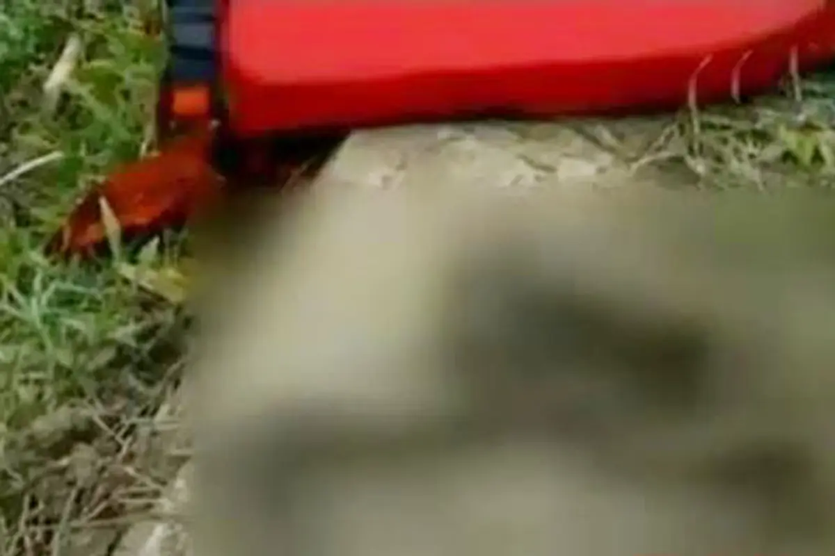 Mutilasi Ibu Hamil hingga Dampak Gempa Jepang