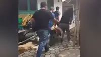 Dwi Bagus Sembunyi di Jombang, Digotong dan Teriak Saat Ditangkap
