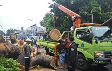 Pemkot Jaksel Beri Santunan Rp50 Juta untuk Korban Pohon Tumbang di Lenteng Agung