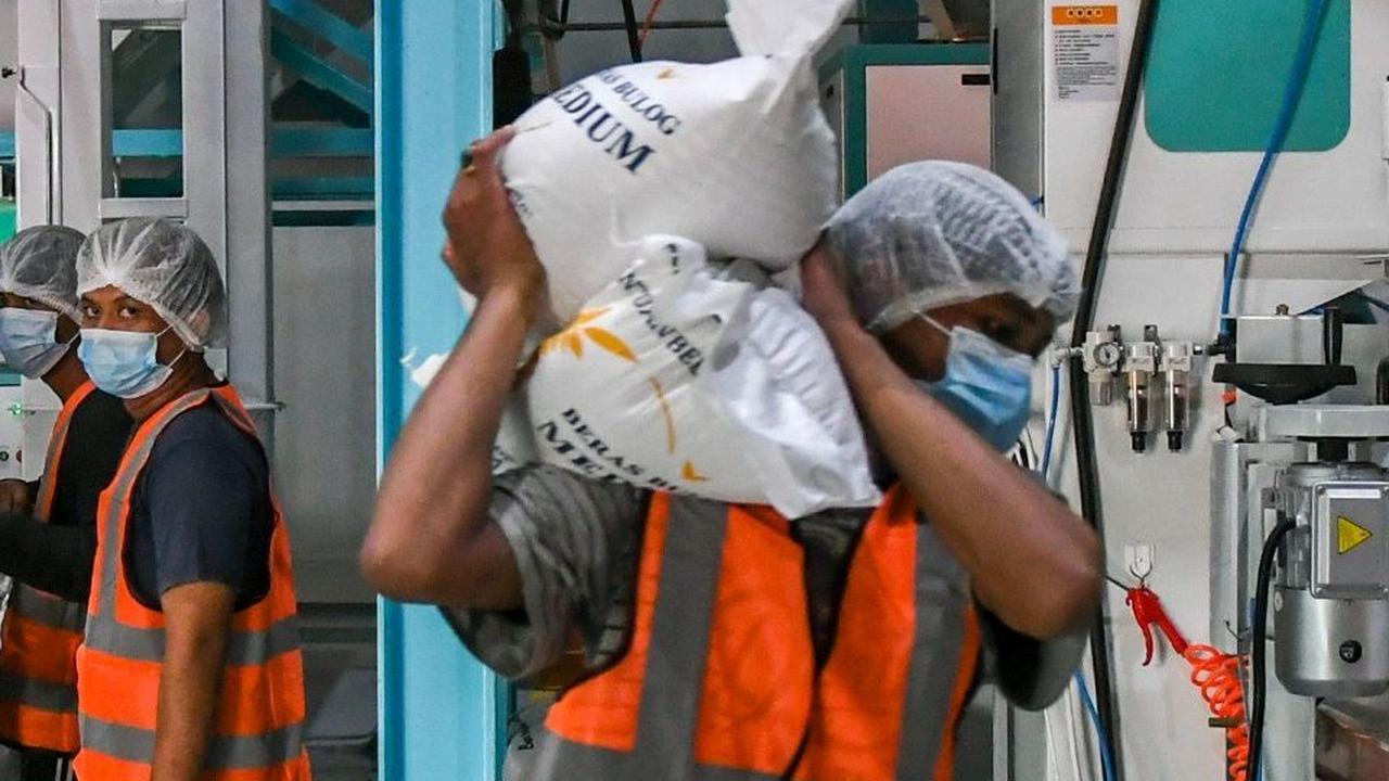 Bulog Kelola 24 Infrastruktur Pasca Panen, Lumbung Pangan Nasional Makin Kuat