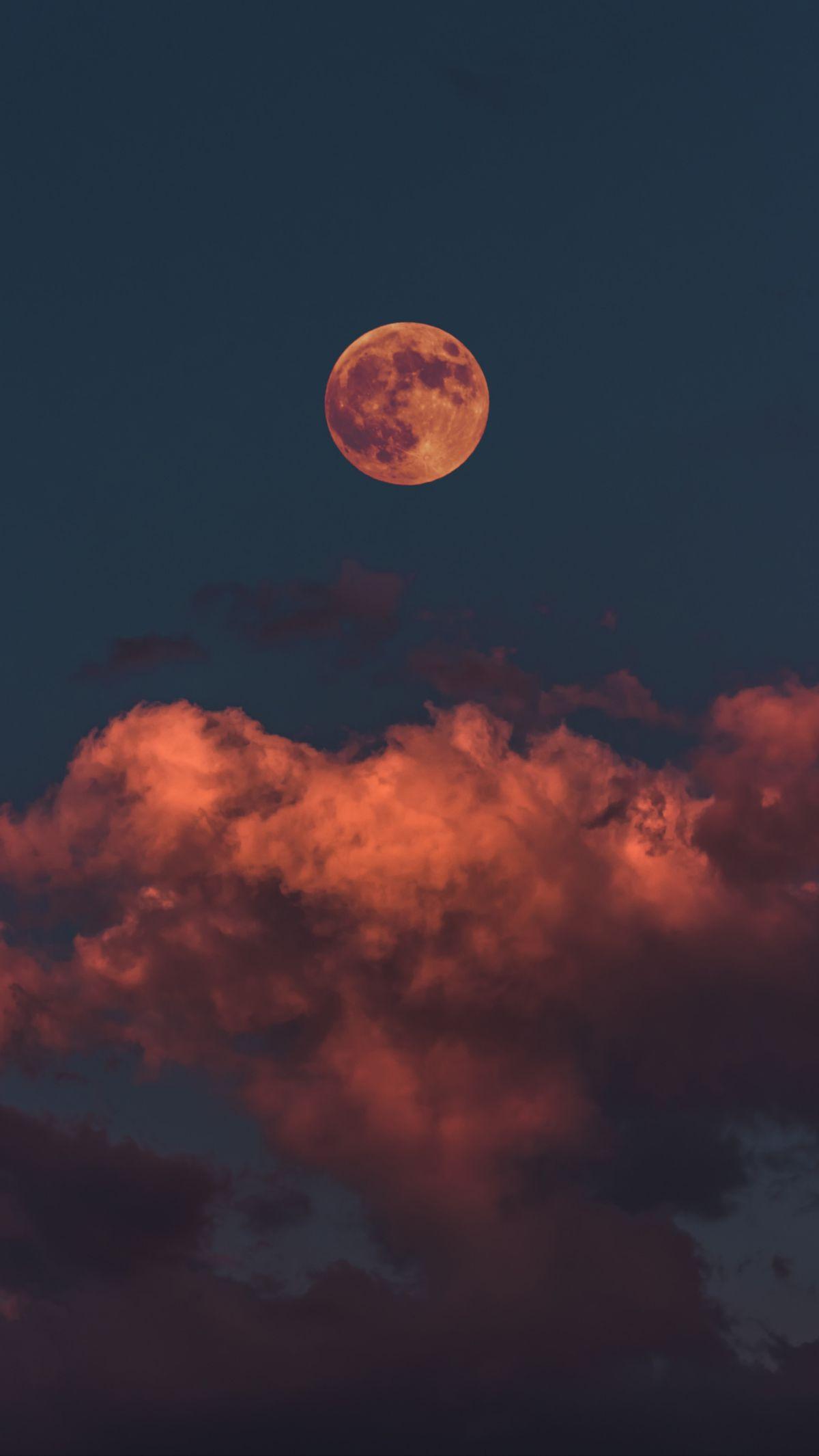 14. Hidup belum tentu indah, langit belum tentu cerah, dan malam belum tentu banyak bintang.

15. Bermimpi lah di malam hari, dan mewujudkan mimpi di siang hari.