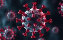 DPR: Pemerintah Harus Waspada Mutasi HMPV yang Bisa Tingkatkan Penyebaran Virus