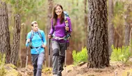 Trekking Pole Lipat untuk Hiking, Teman Praktis untuk Pemula Menjelajahi Jalur Pendakian