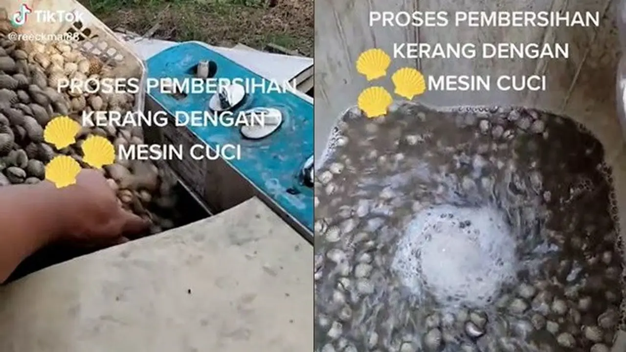 Pria Ini Mencuci Kerang Pakai Mesin Cuci Layaknya Sebuah Baju, Bikin Netizen Heran