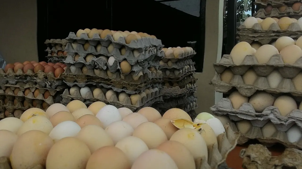 Telur busuk