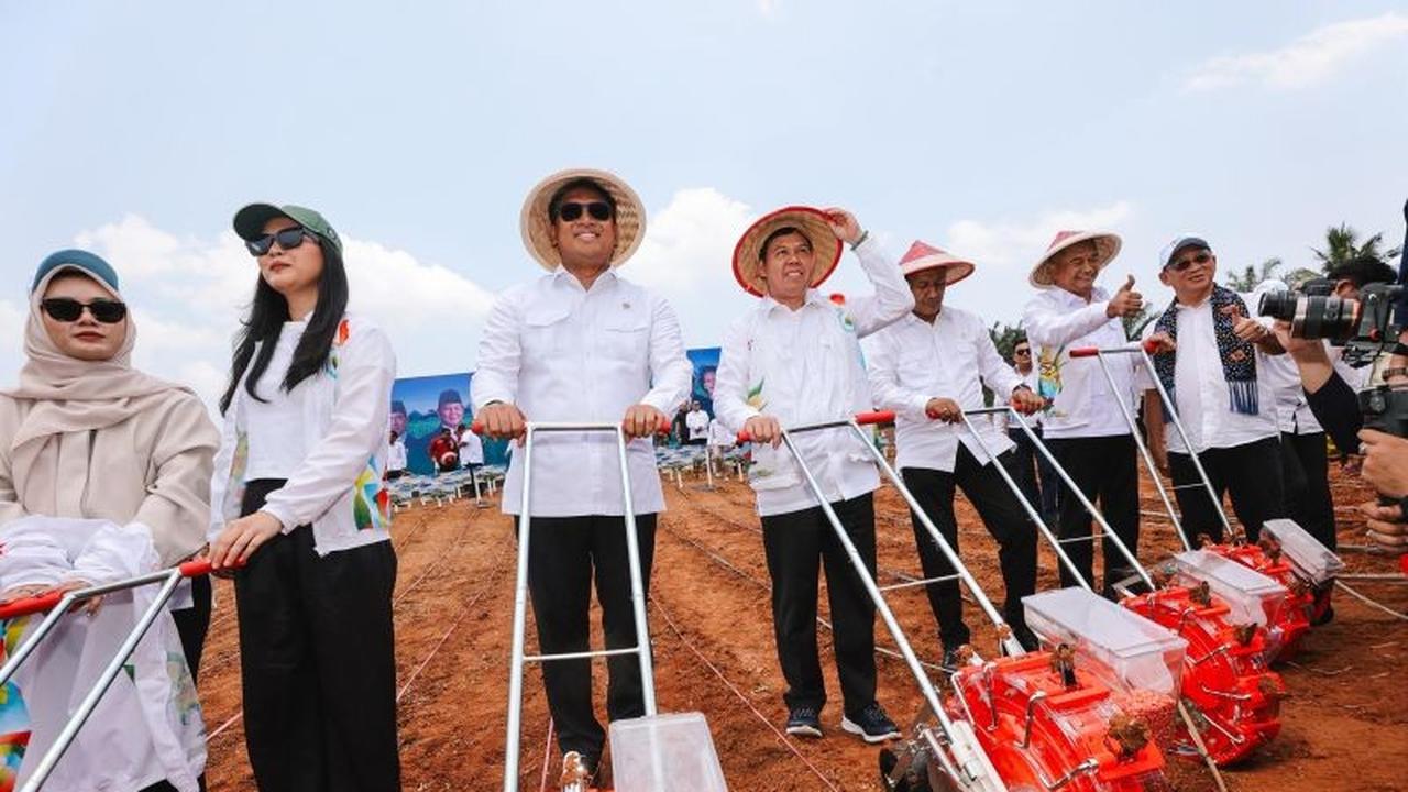 Trivia: DPD RI Luncurkan Program Senator Peduli Ketahanan Pangan, Targetkan 5.000 Hektare Lahan Jagung