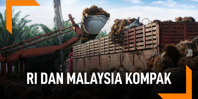 VIDEO: RI dan Malaysia Kompak, Protes Ke UE Soal Minyak Sawit