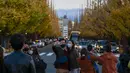 Orang-orang dengan mengenakan masker mengambil foto saat mereka berjalan melalui barisan pohon ginkgo saat pepohonan dan trotoar ditutupi dedaunan kuning cerah di sepanjang trotoar di Tokyo, Jepang pada 28 November 2020. (AP Photo/Kiichiro Sato)