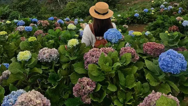 Puncak Tetetana Kumelembuai