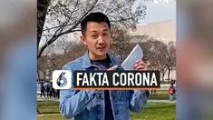 fakta corona