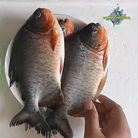 Cuma Pakai Air Cucian Beras, Begini Cara Netralkan Bau pada Ikan Bawal (YouTube/zarena official)