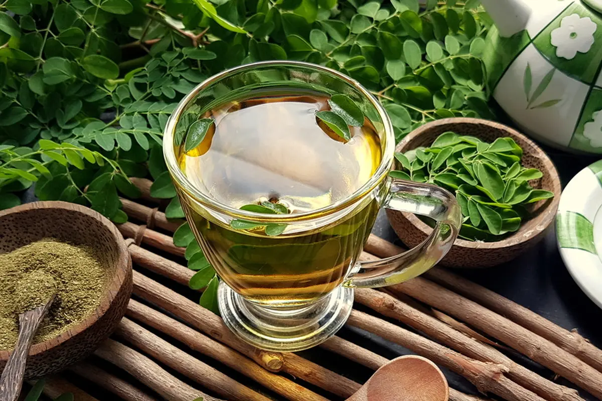 resep daun kelor