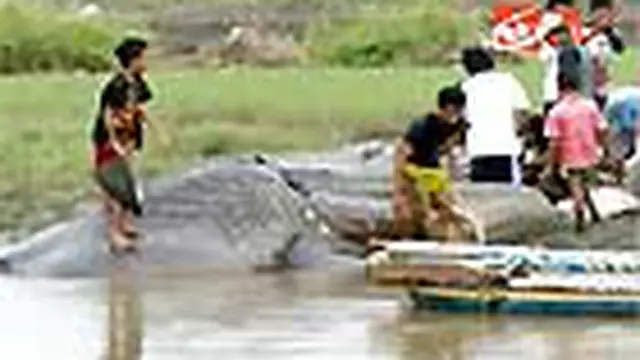Warga Ramai-ramai Potong Ikan Hiu Terdampar