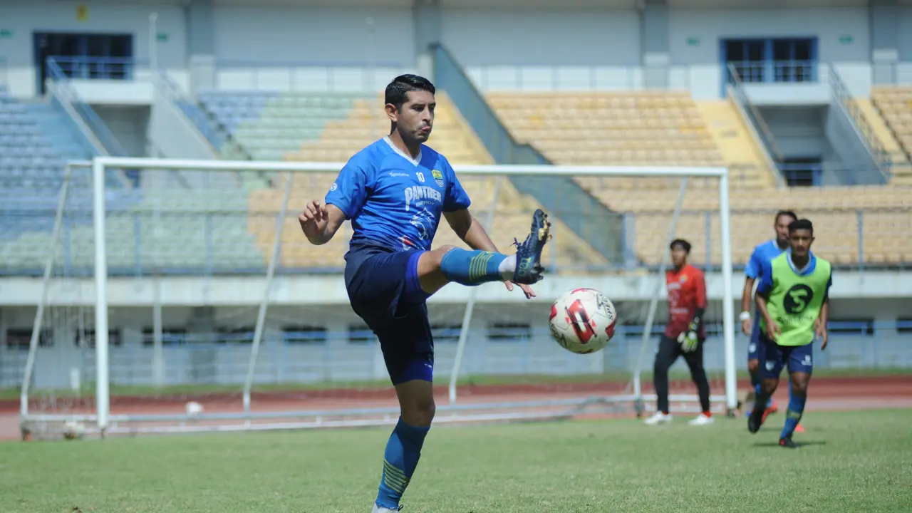 Esteban Vizcarra, Persib Bandung