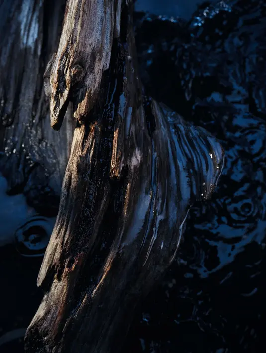 Terinspirasi oleh kekuatan dan gemuruh air yang mengalir, aroma baru ini meliputi spicy, woody, dan musky.  [Dok/Dior].