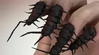 Unik, 10 Desain Nail Art Nyeleneh dari Rusia Ini Anti-mainstream Banget