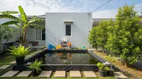 7 Ide Budidaya Ikan Lele di Kolam Terpal Mini untuk Belakang Rumah Type 36 agar Makin Fungsional