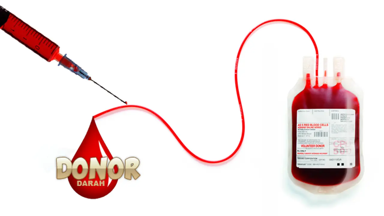 Donor darah