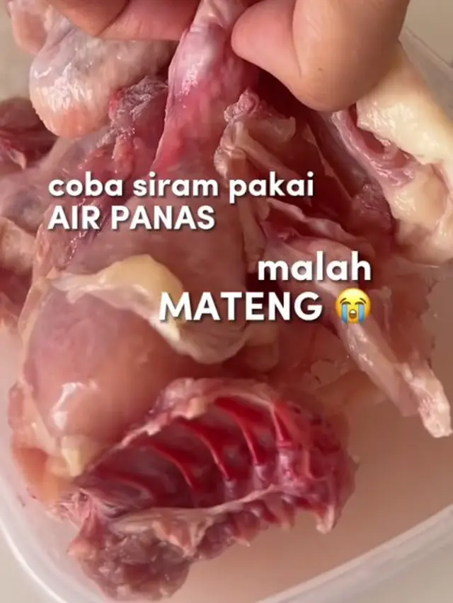 Modal 2 Bahan, Ini Cara Cairkan Ayam Beku dari Freezer dengan Hanya 7 Menit