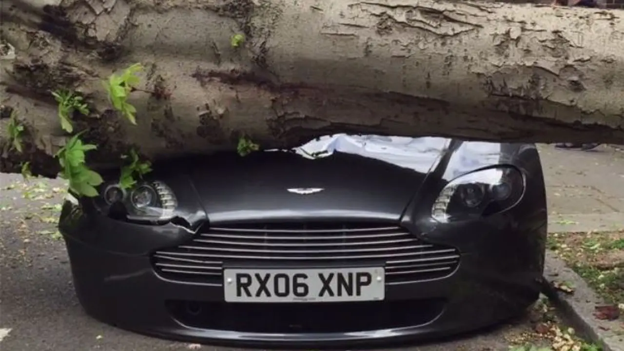 Aston Martin Penyok Ditimpa Pohon Tumbang