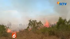 Kebakaran juga meghasilkan asap yang cukup pekat, sehingga mengganggu arus lalu lintas dari dan keluar kota.