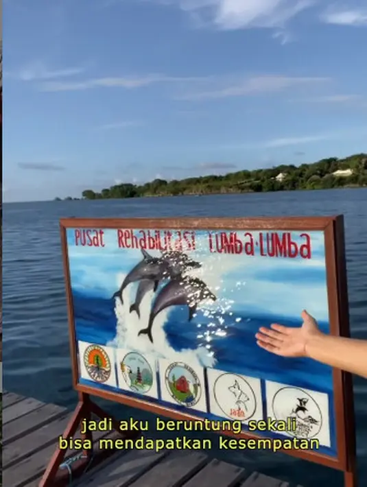 "Aku sekarang lagi di pusat rehabilitasi lumba-lumba yang namanya Umah Lumba. Ini bukan berarti orang-orang bisa ke sini, jadi aku beruntung sekali bisa mendapatkan kesempatan untuk melihat langsung bagaimana lumba-lumba direhabilitasi," kata Sherina. (Instagram/sherinasinna)