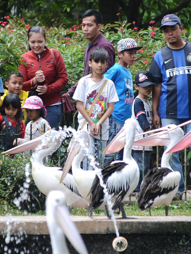 Kebun Binatang Ragunan