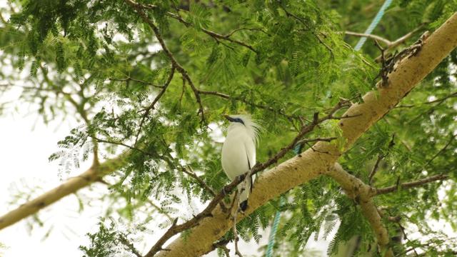 Fakta Menarik Jembrana Bali, Tempat Penemuan Kerangka Manusia Prasejarah