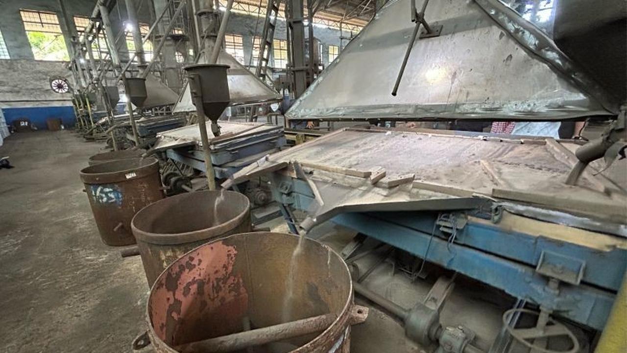 Fakta Unik Rare Earth: PT Timah Optimalkan Mineral Ikutan untuk Perluas Pasar Global