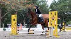 Selebritas Indonesia, Melody Laksani berkompetisi dalam cabang olahraga berkuda nomor show jumping Turnamen Olahraga Selebriti Indonesia (TOSI) Season 3 yang berlangsung di Arthayasa Stable, Depok, Jawa Barat, Jumat (01/11/2024). (Bola.com/Bagaskara Lazuardi)