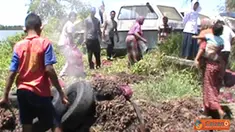 liputan6