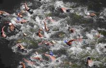 Menyaksikan serunya lomba renang 10 km arungi lautan
