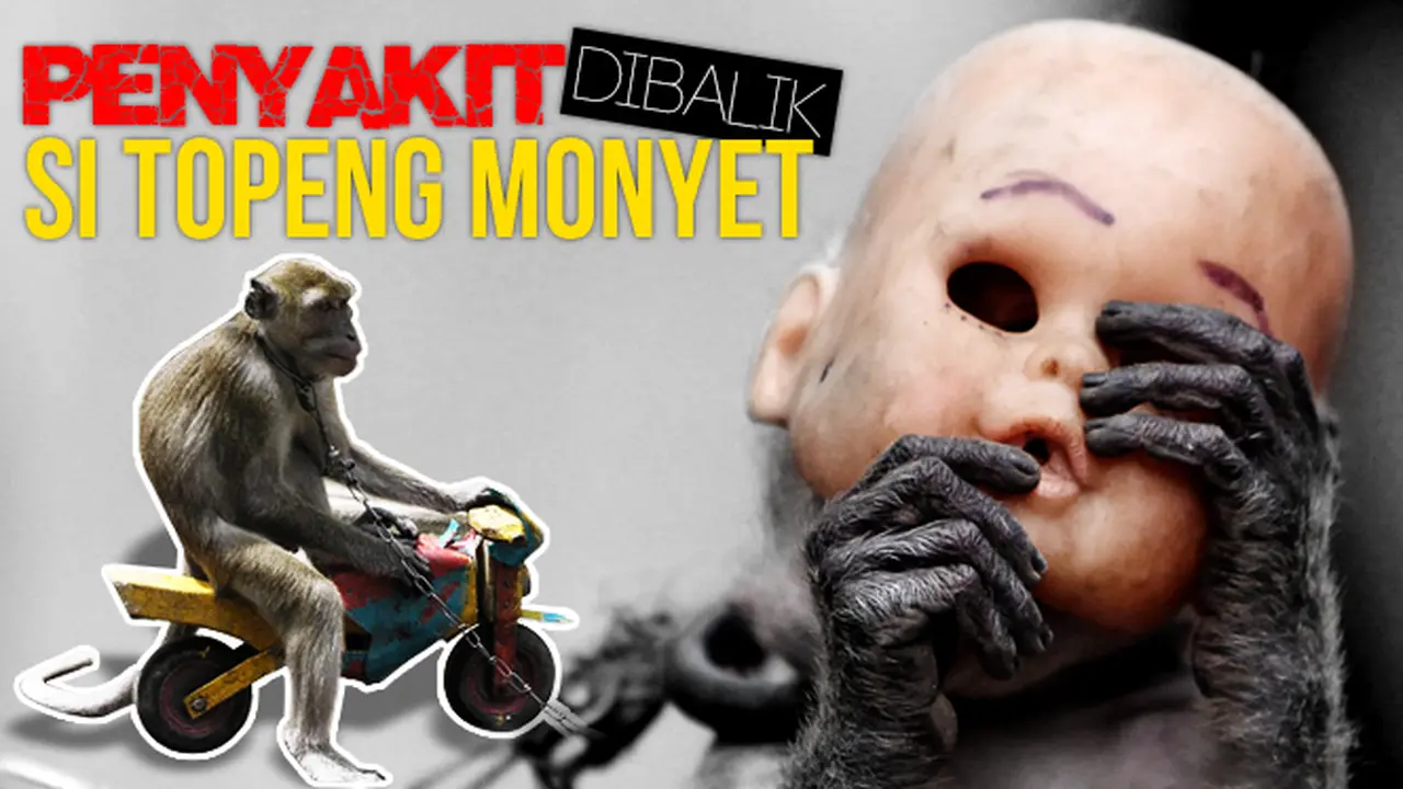 Ilustrasi Topeng Monyet