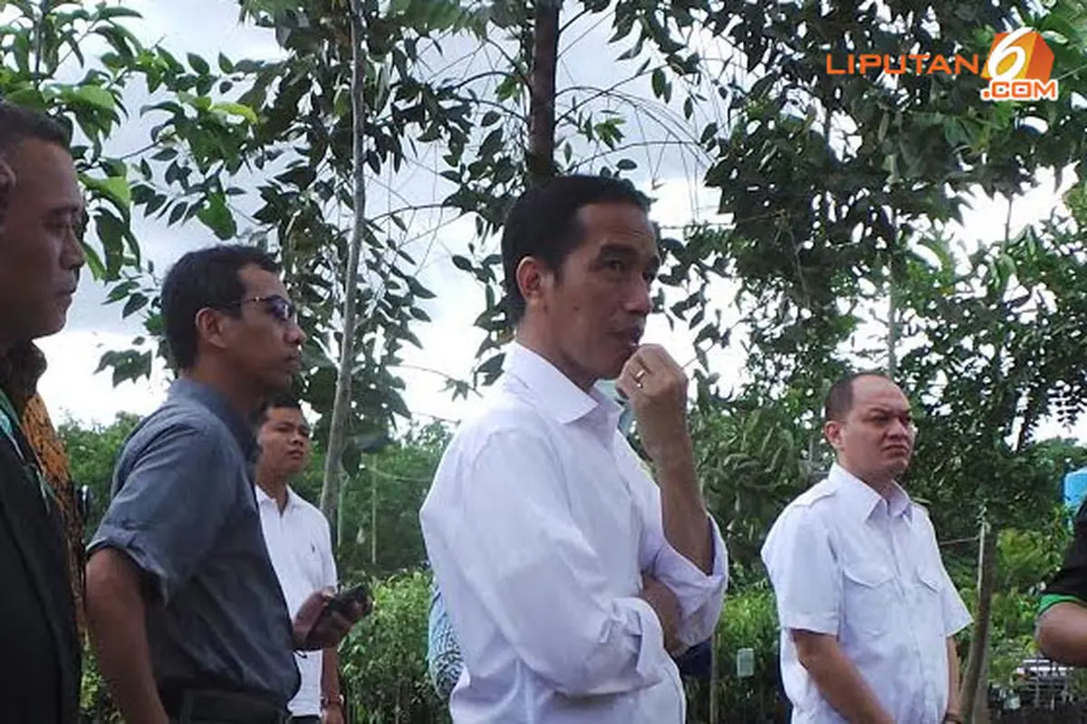 jokowi-minta-140117d.jpg