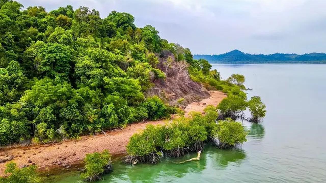 10 Potret Penampakan Viral Pulau Dijual Rp 12 Miliar, Ini Lokasinya