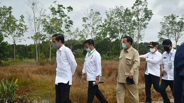 Program Food Estate di Kalimantan Selatan, Picu Antusiasme Petani Kapuas
