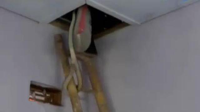 Bikin Merinding, Ini 6 Penampakan Sarang Ular di Plafon Rumah