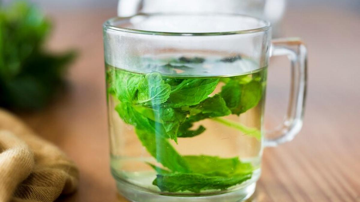 Resep Daun Alami untuk Turunkan Kolesterol, Dari Kersen Hingga Kemangi
