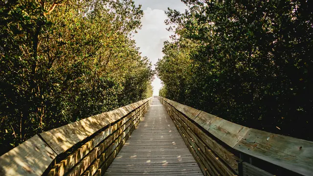 South Padre Island