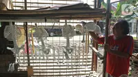Pekerja menggantung kerangka tulang manusia di Cinangka, Depok, Jawa Barat, Rabu (11/12/2019). Manekin anatomi tubuh tersebut dijual dengan harga Rp 100 ribu hingga Rp 1 juta. (Liputan6.com/Herman Zakharia)